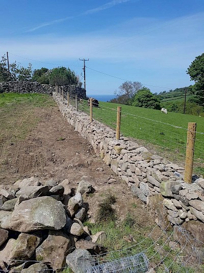 Stone Walling