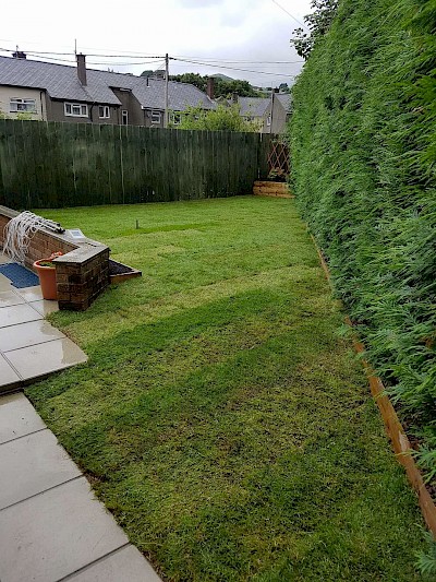 Garden Makeovers